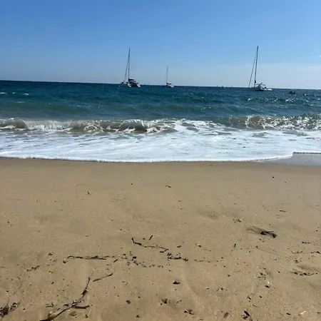 Daire M Sainte-Maxime